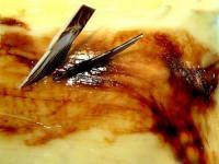 Crema de zahar ars Crema de zahar ars